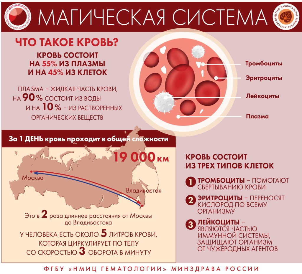 Как распознать заболевания крови?