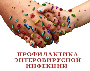 О мерах профилактики энтеровирусной инфекции