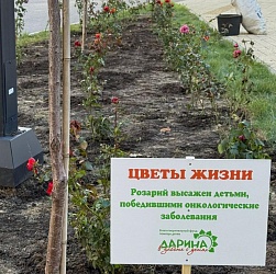 ЦВЕТЫ ЖИЗНИ